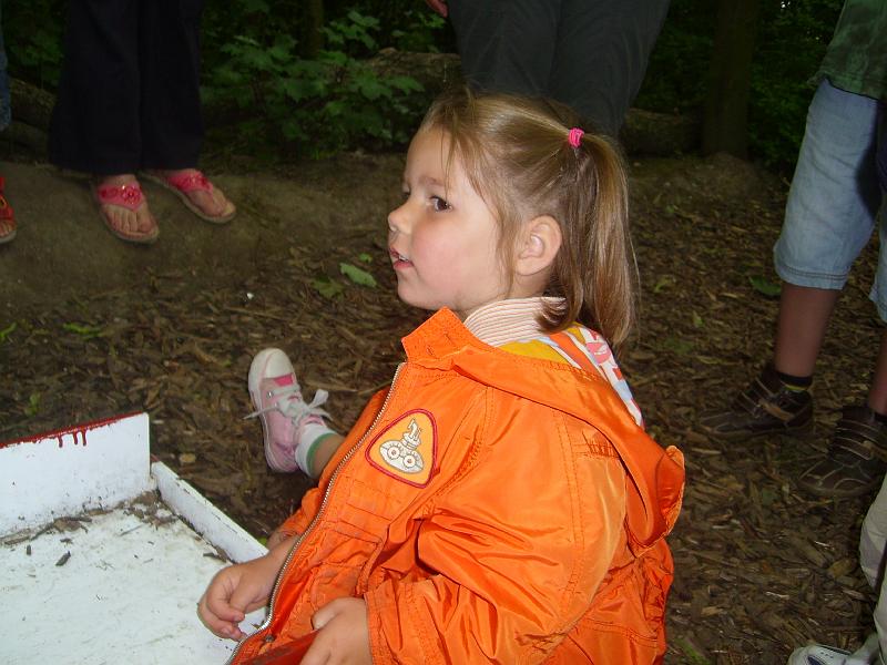 070612 skoalreiske beukers 037.jpg
